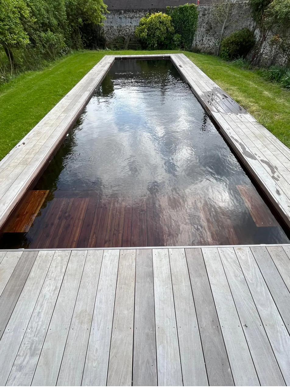 Natural pool